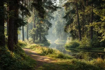 Park Krajobrazowy Puszczy Rominckiej: Kompleksowy Przewodnik